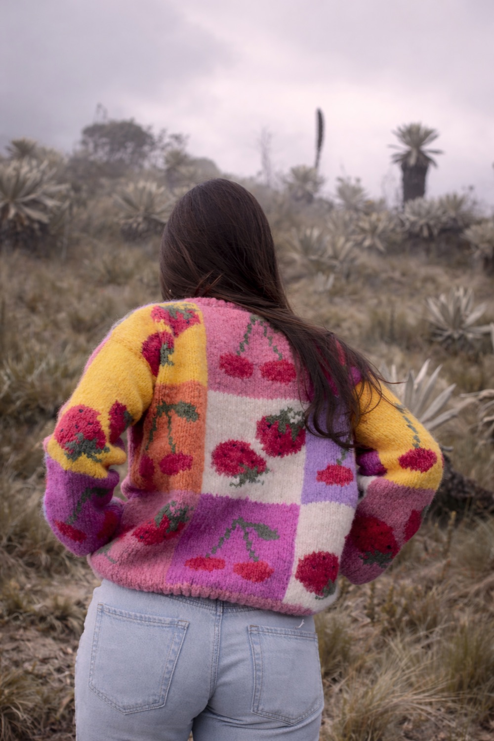 Hand-knit cardigan in the Andean landscape